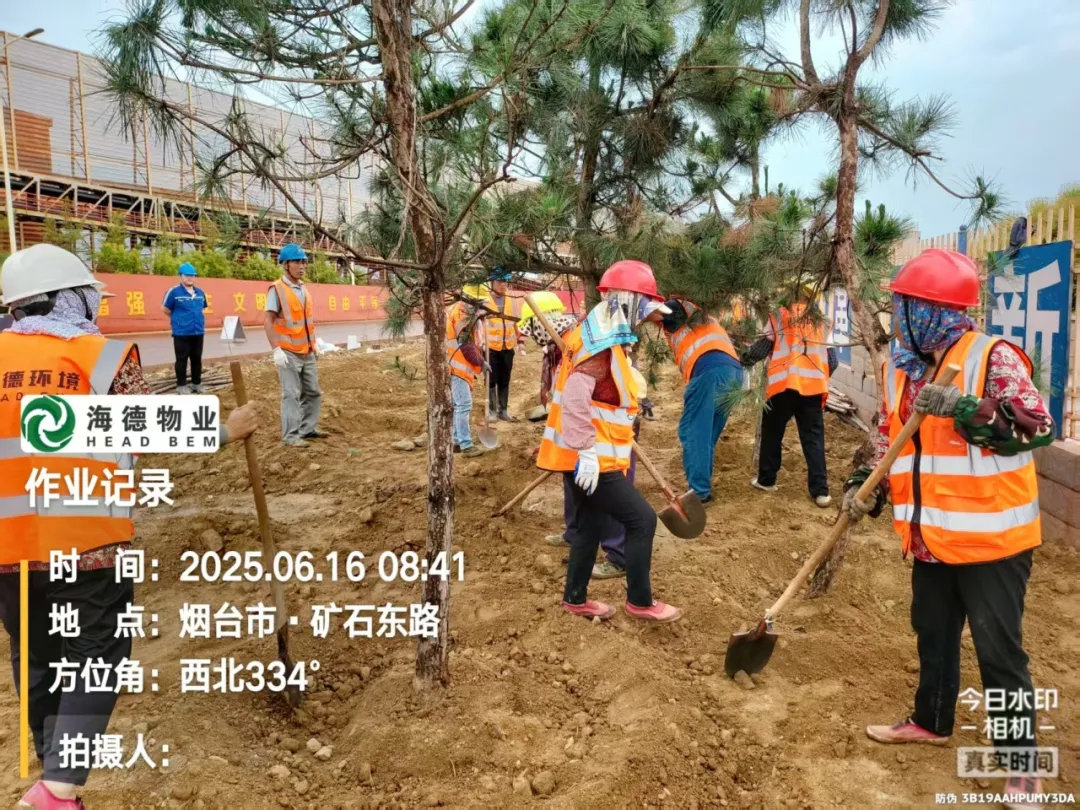 海德物業(yè)丨晝夜兼程繪綠意 風(fēng)雨無(wú)阻寫(xiě)擔(dān)當(dāng)